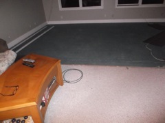 July 28 Remodel 2015 Carpet
