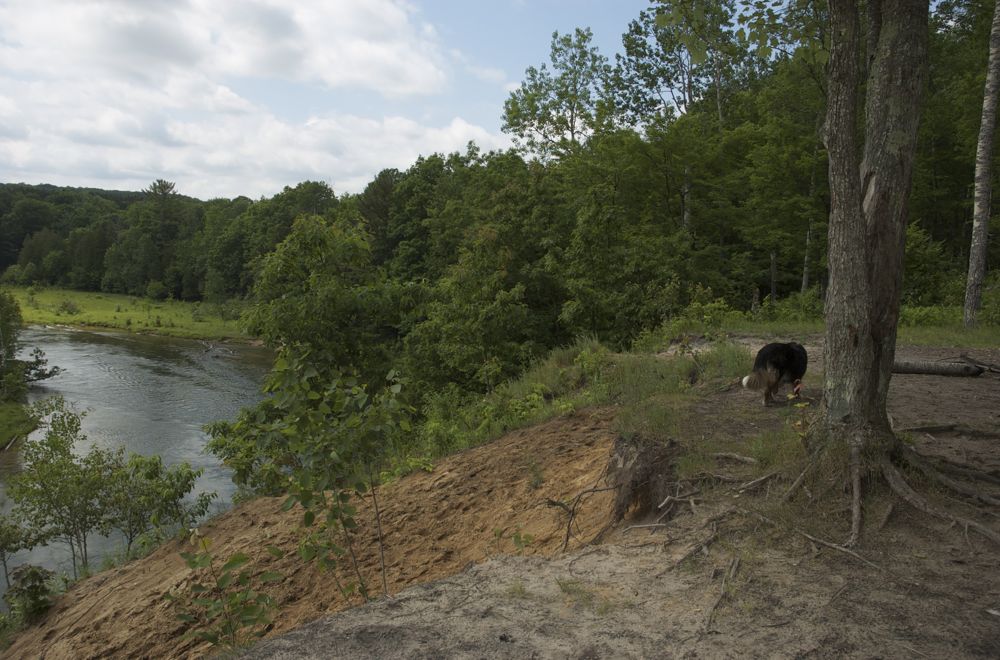 June 16 & 17 Hiking Manistee River