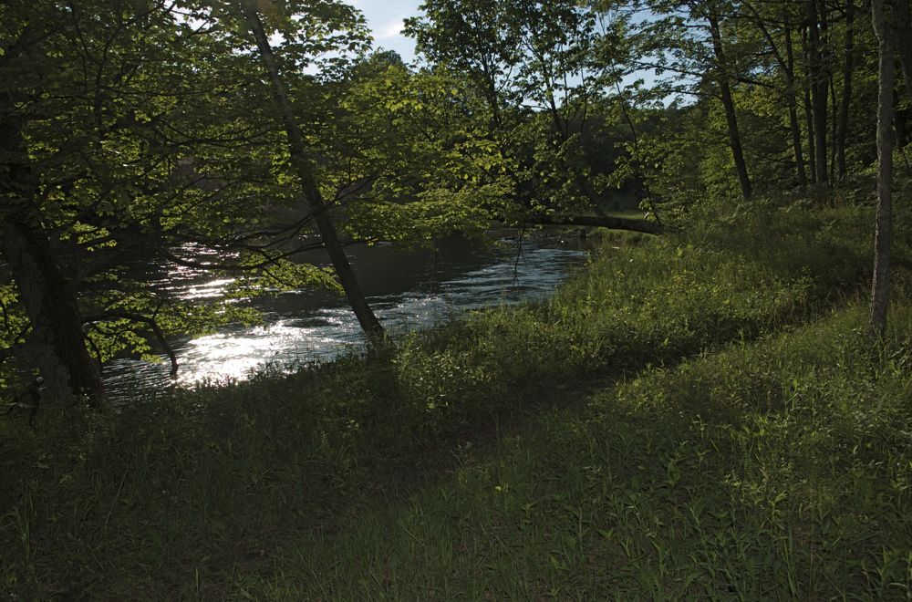 June 16 & 17 Hiking Manistee River