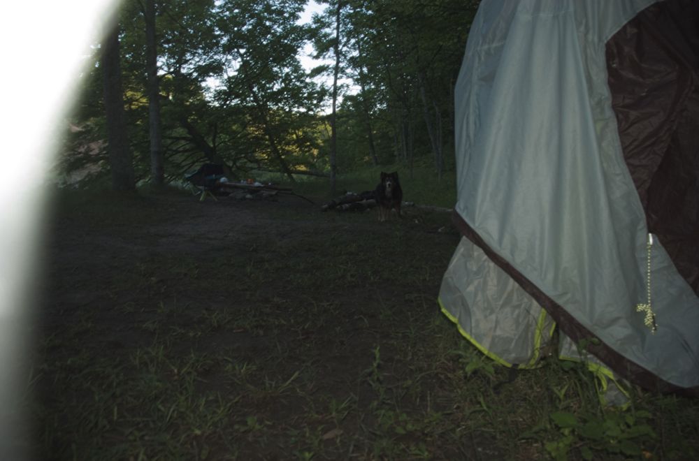 June 16 & 17 Hiking Manistee River