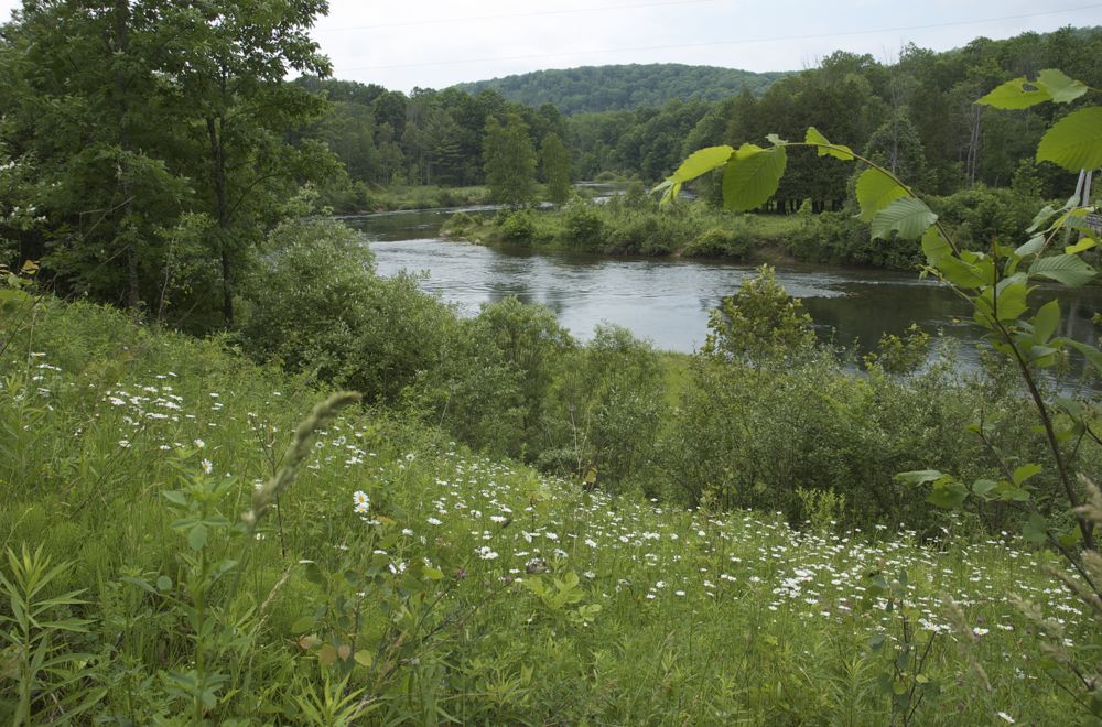 June 16 & 17 Hiking Manistee River