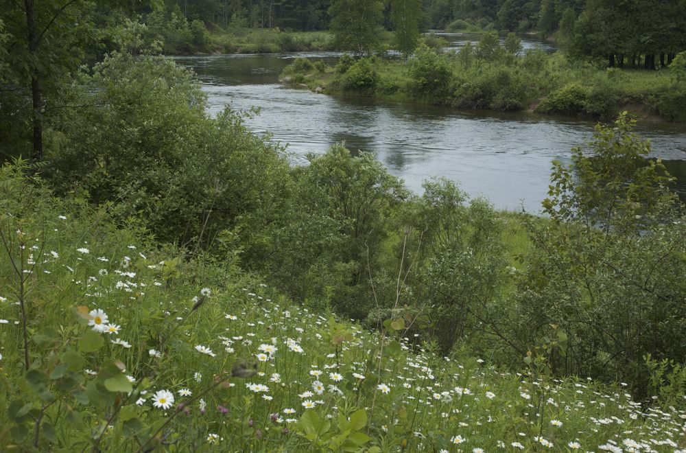 June 16 & 17 Hiking Manistee River