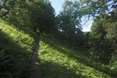 June 16 & 17 Hiking Manistee River