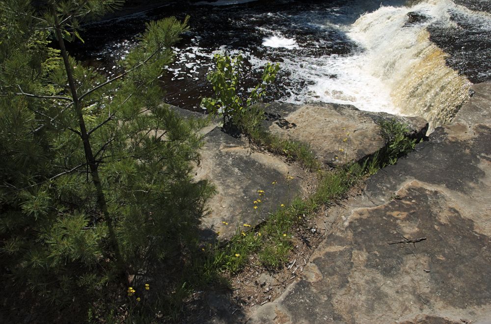 June 22 Tahquamenon