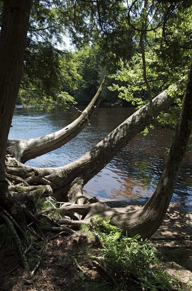 June 22 Tahquamenon