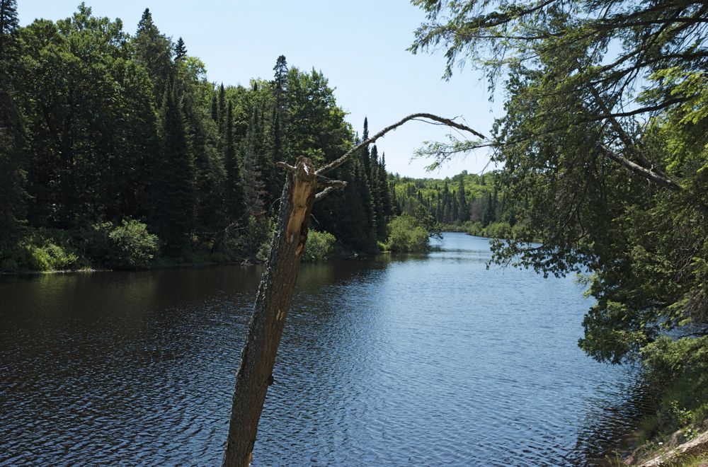 June 22 Tahquamenon