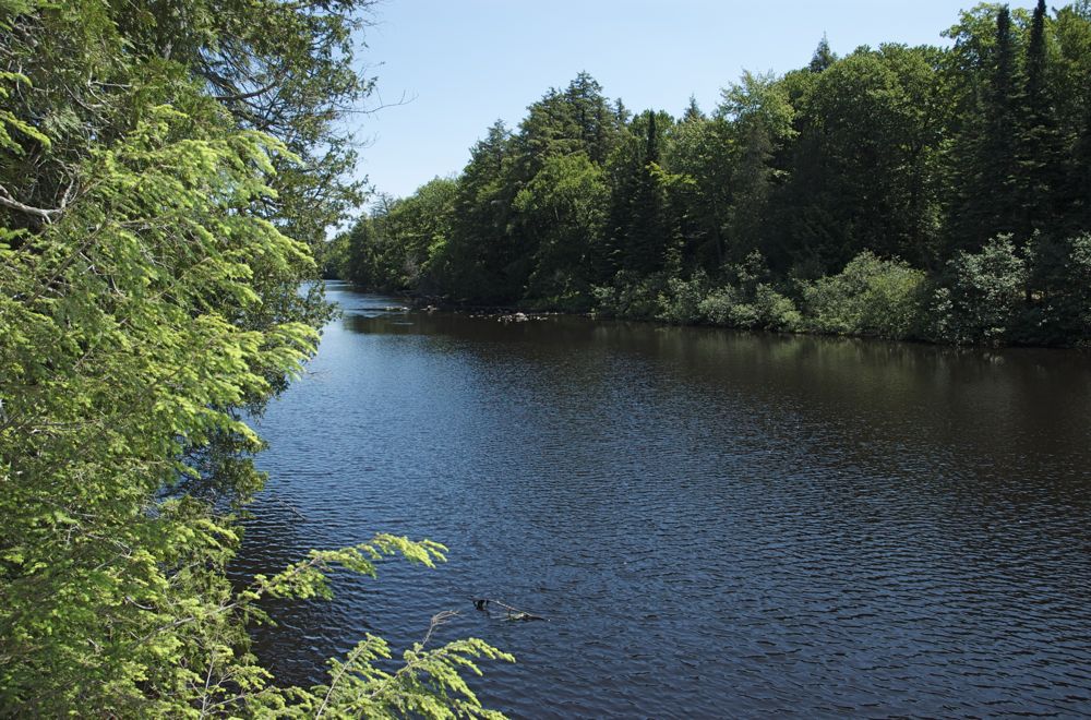 June 22 Tahquamenon