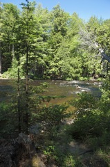 June 22 Tahquamenon