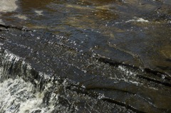 June 22 Tahquamenon