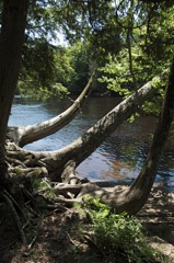 June 22 Tahquamenon